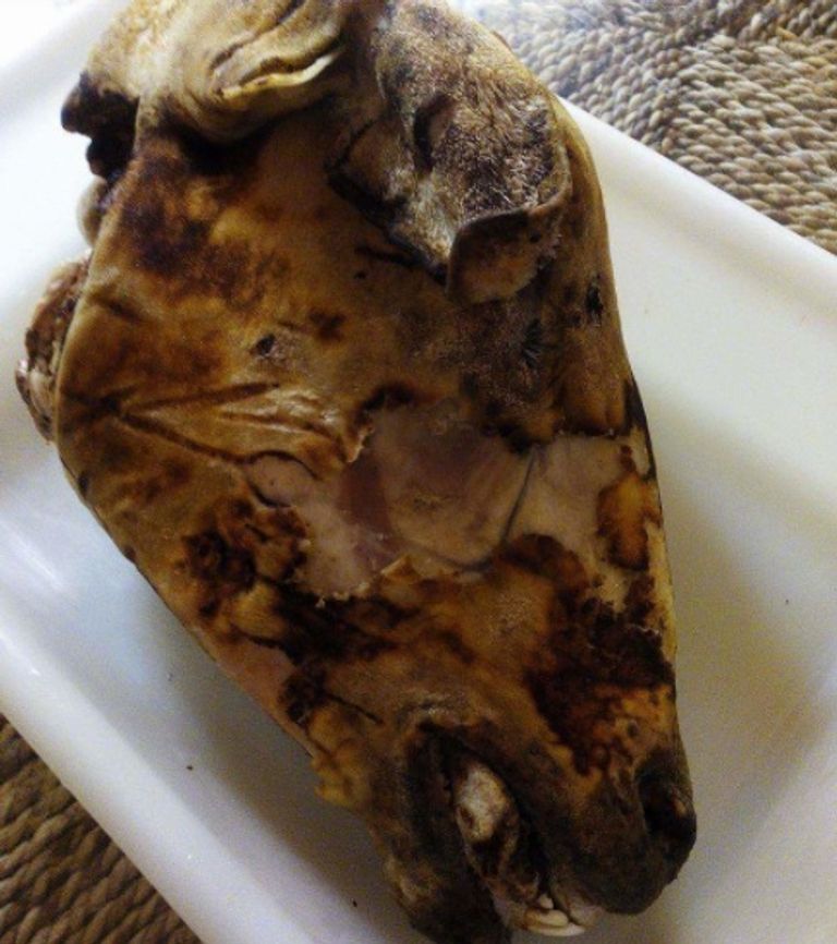 رأس الخروف بعد حرقه طبق البوزلوف التقليدي لعيد الأضحى في الجزائر