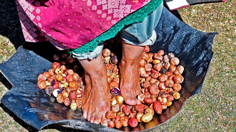 مزارع يبدأ طريقة لحفظ البطاطس عمرها 5 آلاف عام