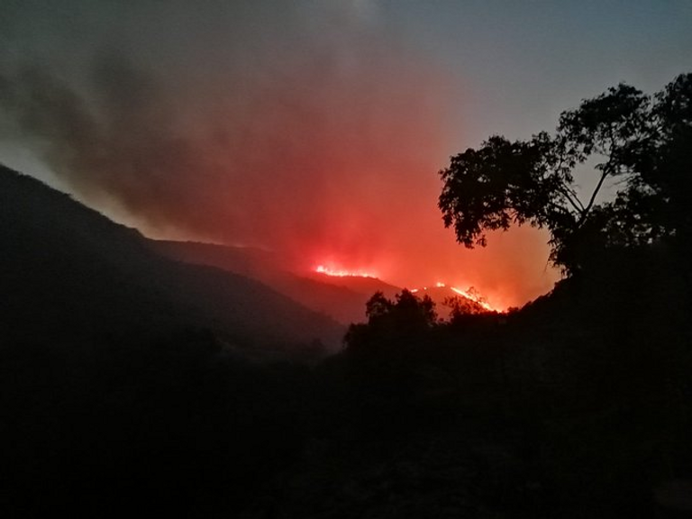 جانب من الحريق الضخم في غابات كوستا برافا الإسبانية
