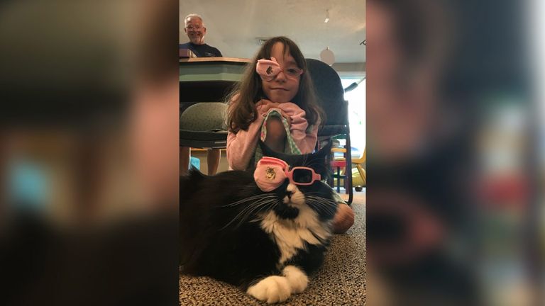 القطة ترافليس