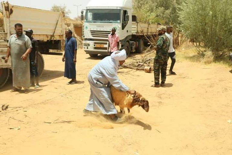 أضاحي العيد مقدمة من الهلال الإماراتي إلى الجنوب الليبي