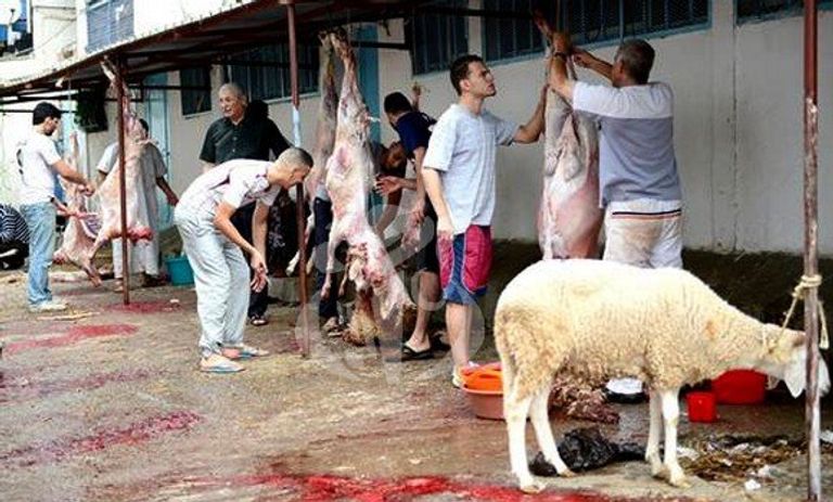 نحر أضاحي العيد بأحد مسالخ العاصمة الجزائرية صلاة عيد الأضحى في أحد مساجد الجزائر