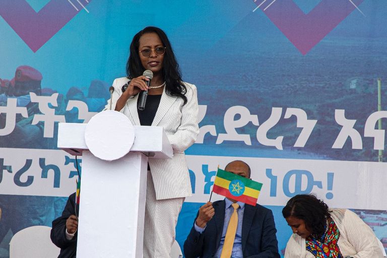 جانب من حشود سكان أديس أبابا دعما للجيش الإثيوبي