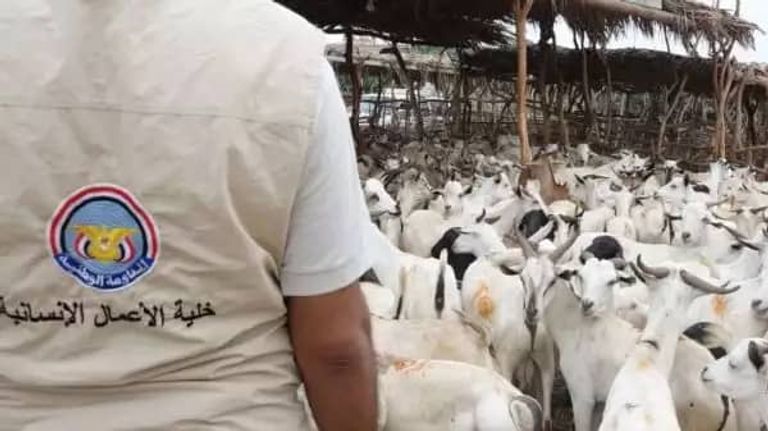 أضاحي العيد في اليمن