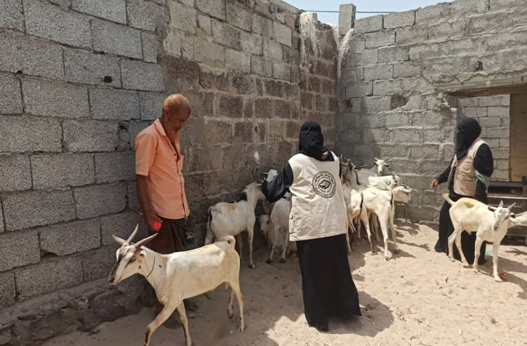 أضاحي العيد في اليمن