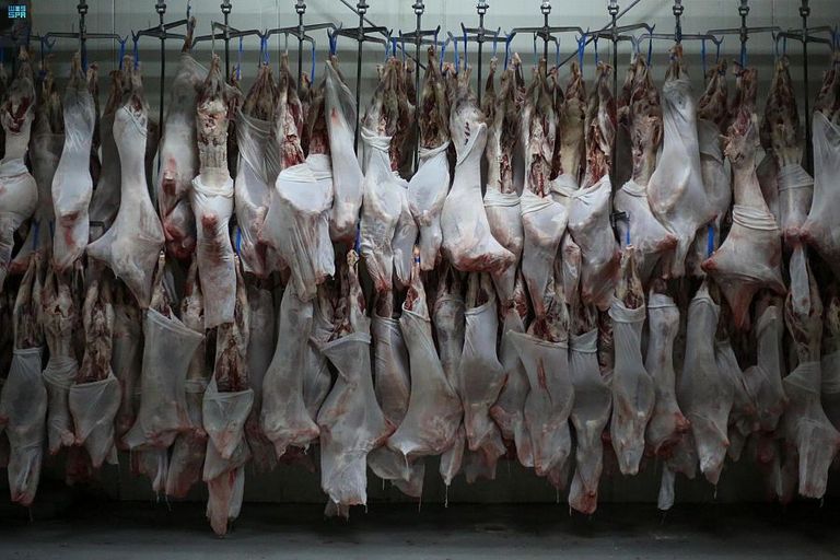 السعودية تنال الدرجة الكاملة في موسم الحج 2021 