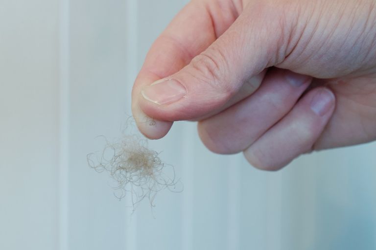 أطفال يجمعون ريش بط العيدر القطبي ذي الزغب الناعم