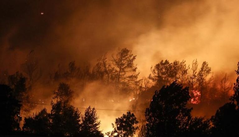 حرائق الغابات في تركيا