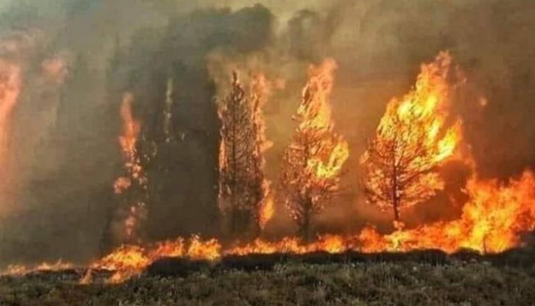 حرائق غابات في لبنان- أرشيفية