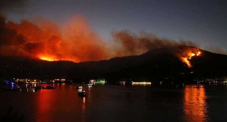 حرائق الغابات في تركيا