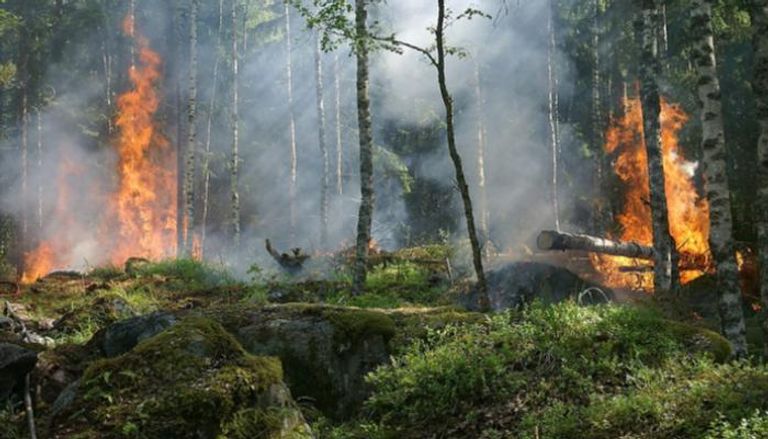حرائق غابات في فنلندا- أرشيفية