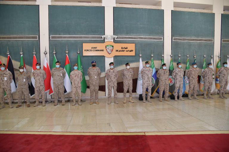 جانب من لقاء رئيسي الأركان الإماراتي والسعودي