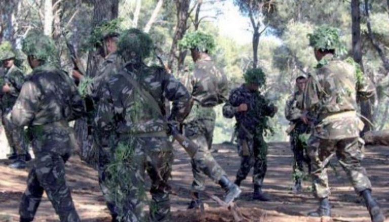 قوات الجيش الجزائري خلال عملية عسكرية ضد عناصر الإرهاب - أرشيفية