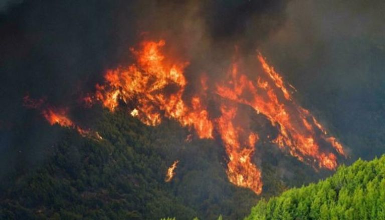 حرائق الغابات في اليونان- أرشيفية