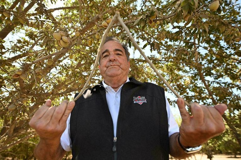 الباحث عن المياه يستعين بهذه العصا لتحديد مواقع المياه الجوفية