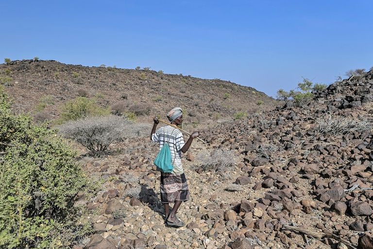 أبورما من أهم مواقع الفن الصخري في منطقة القرن الأفريقي