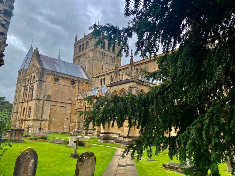 أحد الزوار العراة لغابة روبين هود في إنجلترا