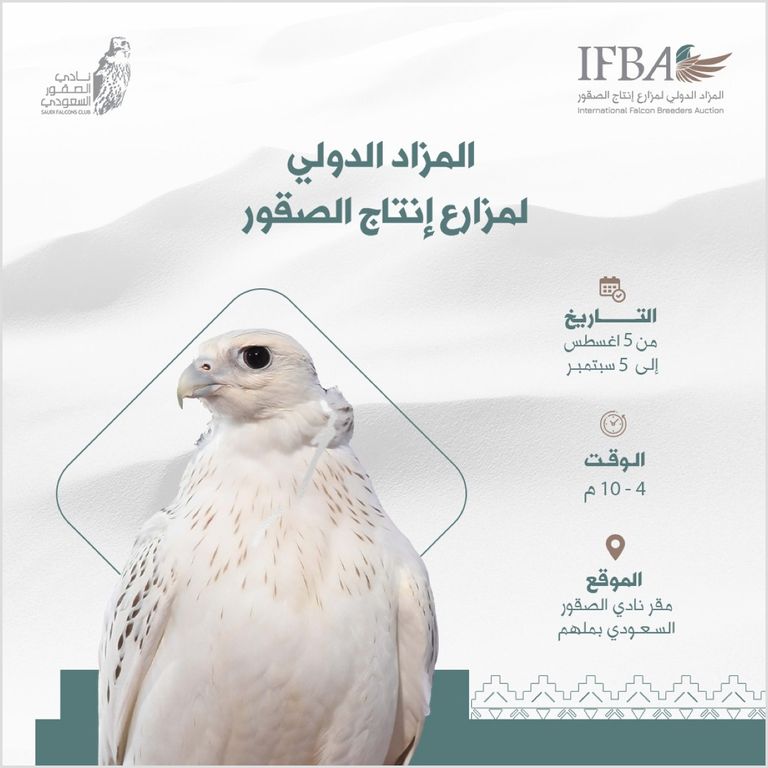 مزاد الصقور السعودي يجتذب الهواة من عدة دول