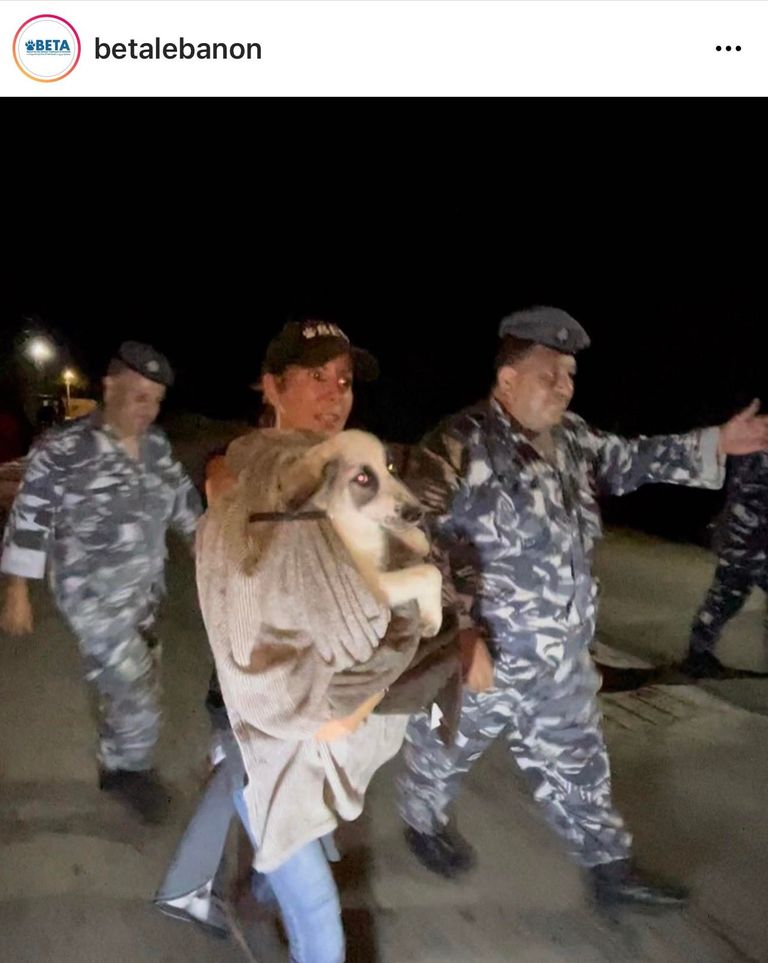 مراهق يعذب كلبا في لبنان