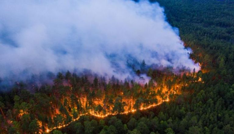 حرائق غابات في سيبيريا- أرشيفية