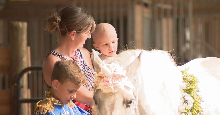 وحيد قرن الطفلة البريطانية المحاربة أبيجيل ليجيو