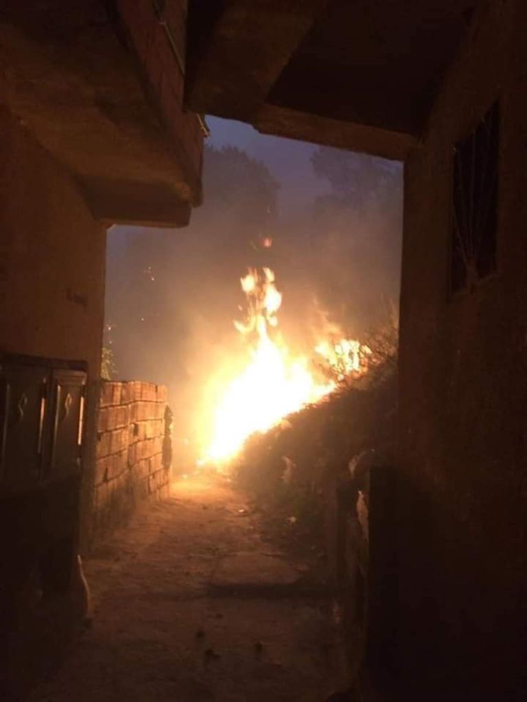 حرائق غابات بالجزائر تقتل 4 أشخاص وتصيب 3 آخرين