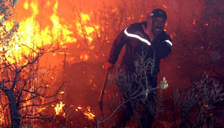 محاولات لإخماد حرائق الغابات في الجزائر- أرشيفية