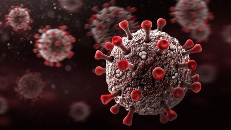 الأجسام المضادة بعد 7 أشهر من الإصابة