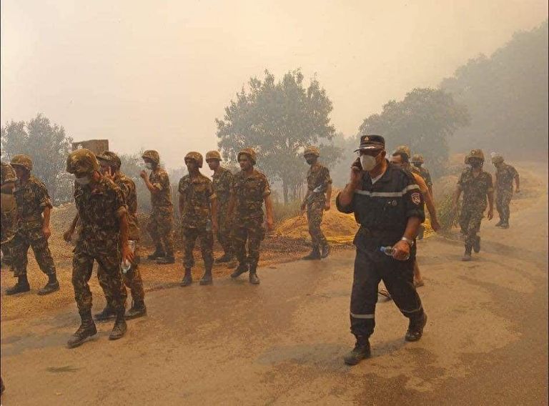 رجال الإطفاء يحاولون إخماد حرائق الغابات في الجزائر لا يزال رجال الإطفاء والجيش يحاولون السيطرة على الحرائق في الجزائر