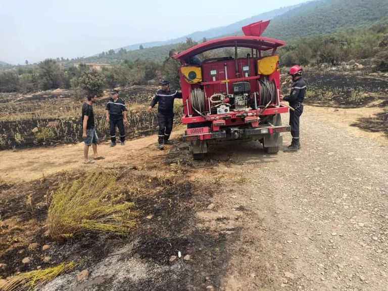 لا يزال رجال الإطفاء والجيش يحاولون السيطرة على الحرائق في الجزائر