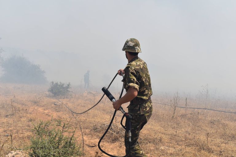 جنود جزائريون في عملية إخماد حرائق غابات محافظة تيزي وزو جنود جزائريون في عملية إخماد حرائق غابات محافظة تيزي وزو