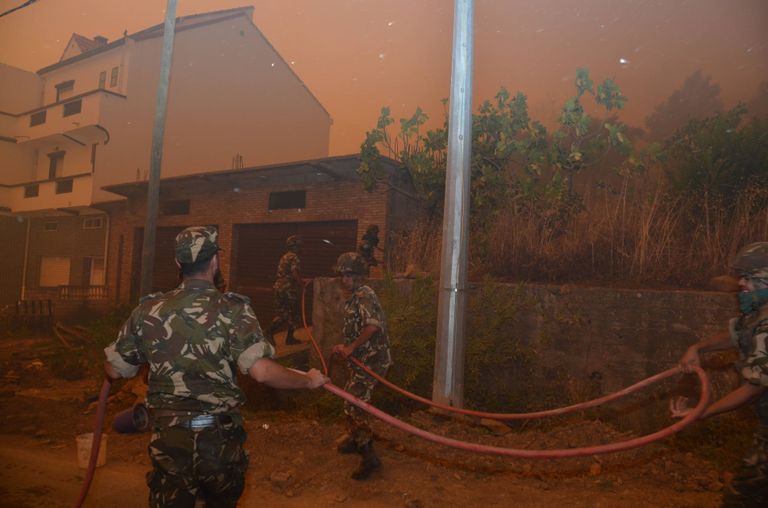 جنود جزائريون في عملية إخماد حرائق غابات محافظة تيزي وزو جنود جزائريون في عملية إخماد حرائق غابات محافظة تيزي وزو