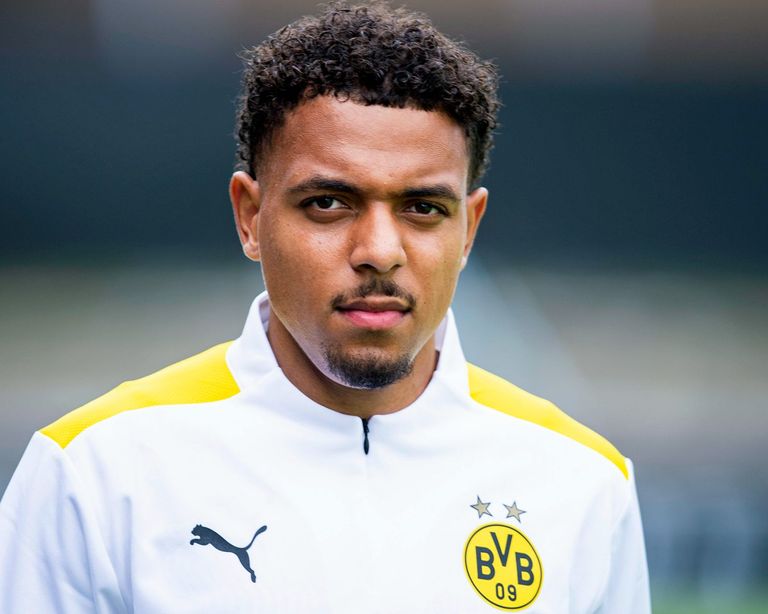 الهولندي مالين