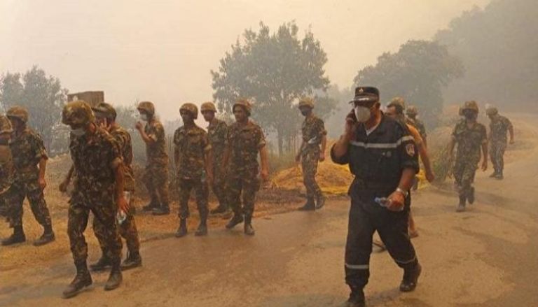 جنود جزائريون يشاركون في عمليات إخماد حرائق الغابات