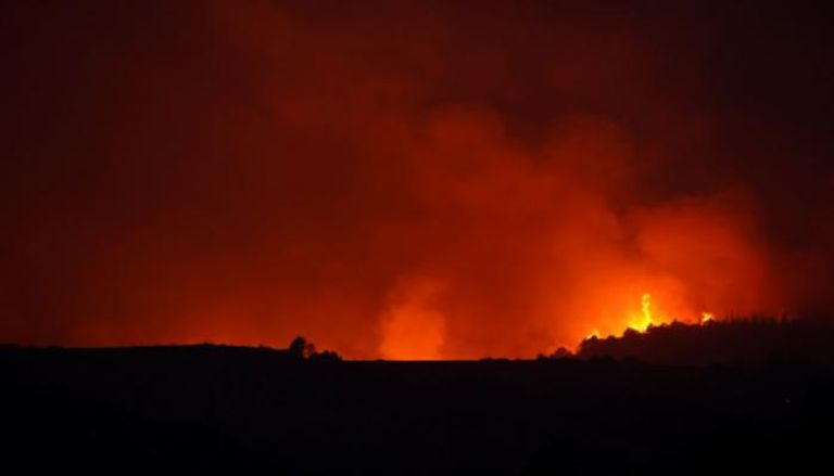 حرائق الغابات في إيطاليا