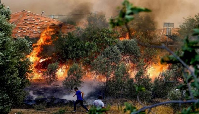 حرائق غابات في تونس- أرشيفية