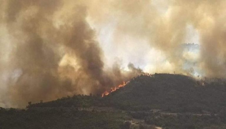 حرائق الغابات في محافظة "تيزيوزو" الجزائرية
