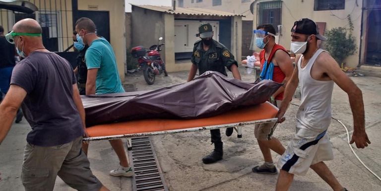 أحد ضحايا حرائق الغابات في الجزائر