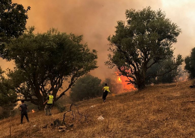 نشوب 5 حرائق جديدة بولاية تيزي وزو في الجزائر