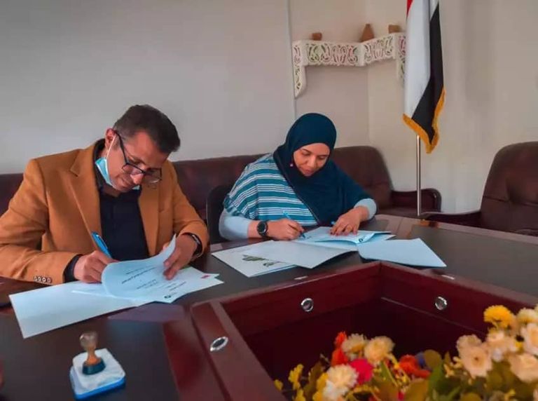 شباب اليمن يستقبلون يومهم العالمي بمشاريع اقتصادية