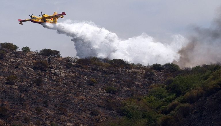 حرائق الغابات في محمية مونت كاتيلو الطبيعية