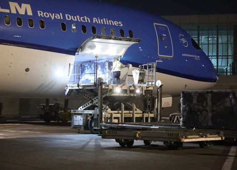 جانب من شحنة اللقاحات التي تسلمتها مصر