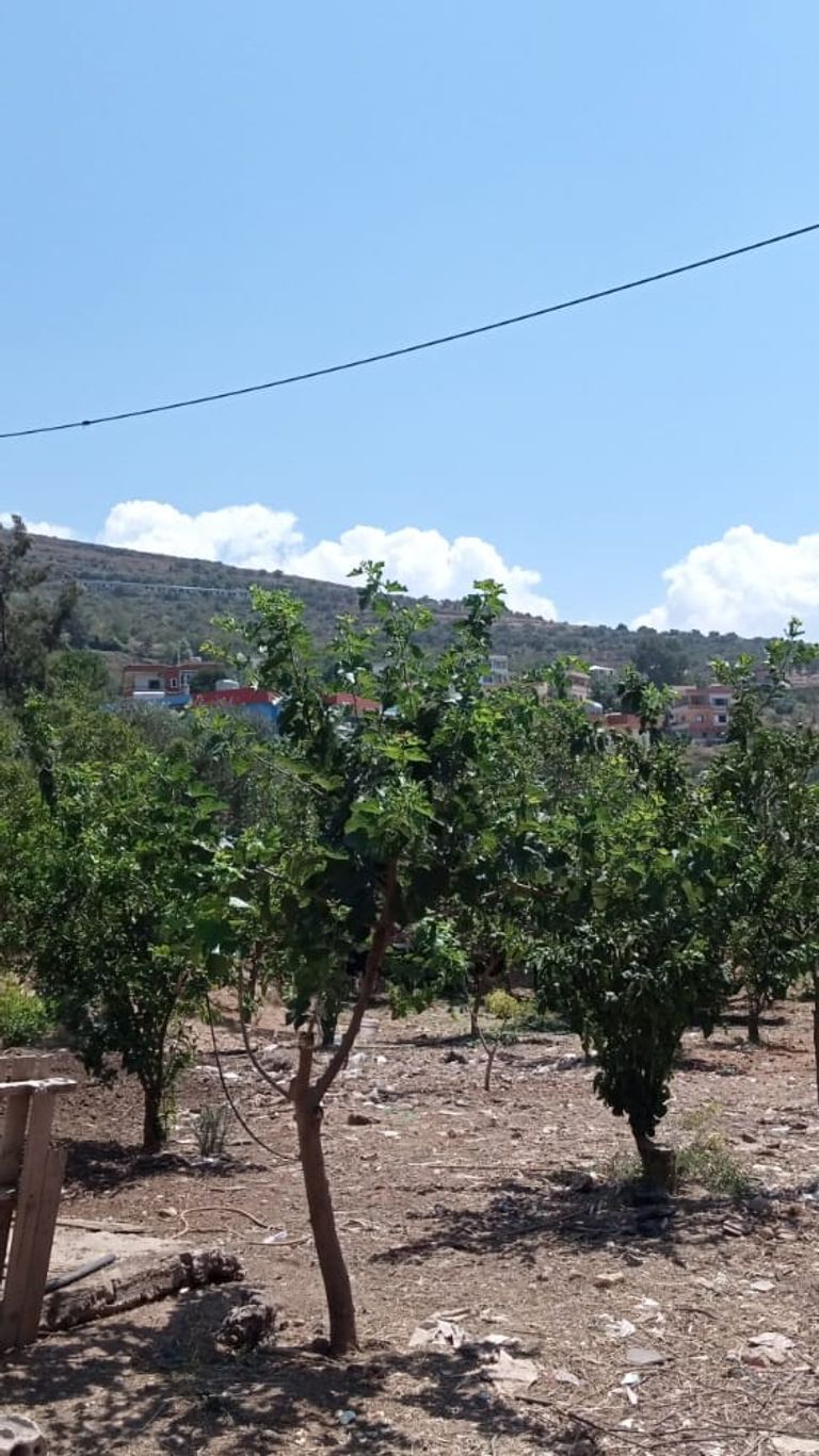 الضحية مها السيد