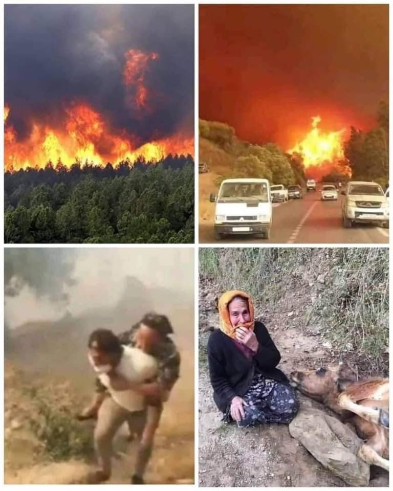 الشيخ عبدالله بن زايد آل نهيان وزير الخارجية والتعاون الدولي