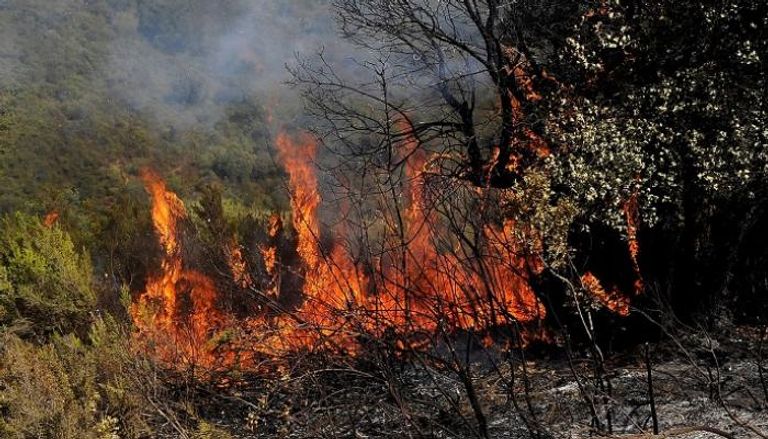 جانب من حرائق الغابات التي ضربت عدة مدن جزائرية
