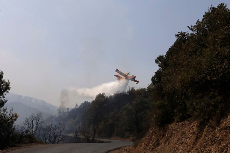 عمليات إخماد حرائق غابات الجزائر  جانب من حرائق الغابات التي ضربت عدة مدن جزائرية