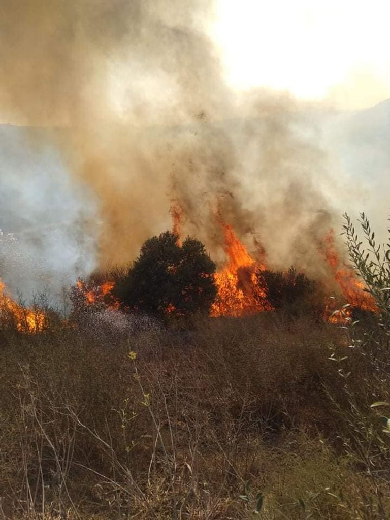 حرائق مستمرة في ولايات جزائرية الرئيس الجزائري عبدالمجيد تبون في خطابه الأخير عن حرائق الغابات