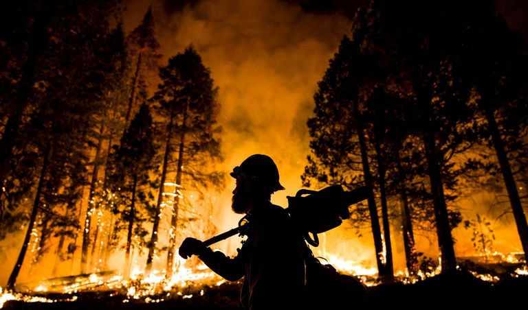 حرائق الغابات اجتاحت العديد من دول العالم