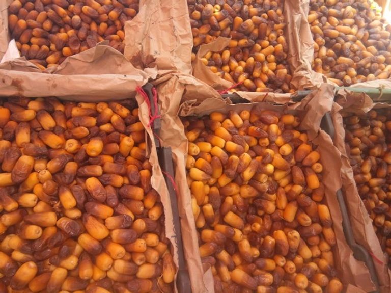 بلح المناصف أو فاكهة تهامة