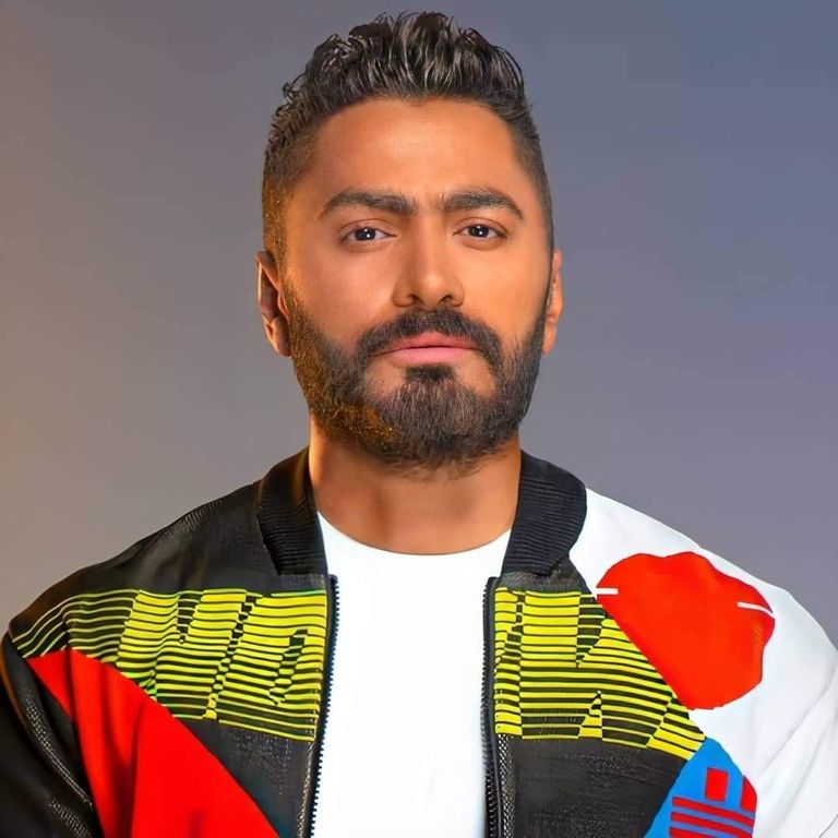 النجم تامر حسني - أرشيفية